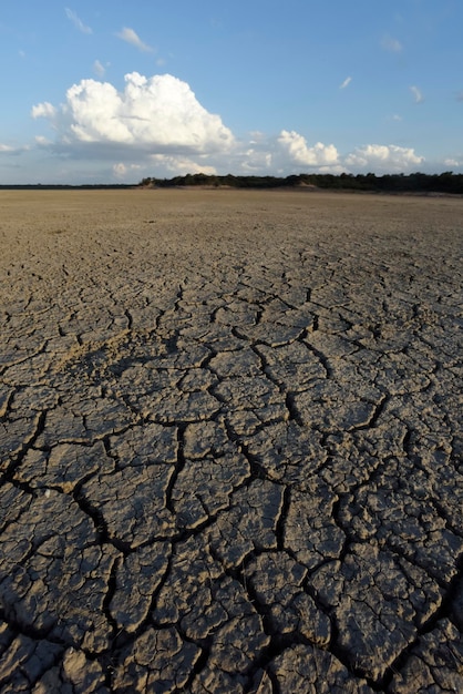 Broken dry soil in a Pampas lagoon La Pampa province Patagonia Argentina