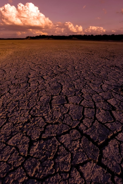 Broken dry soil in a Pampas lagoon La Pampa province Patagonia Argentina