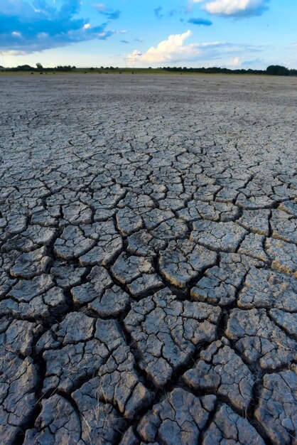 Broken dry soil in a Pampas lagoon La Pampa province Patagonia Argentina