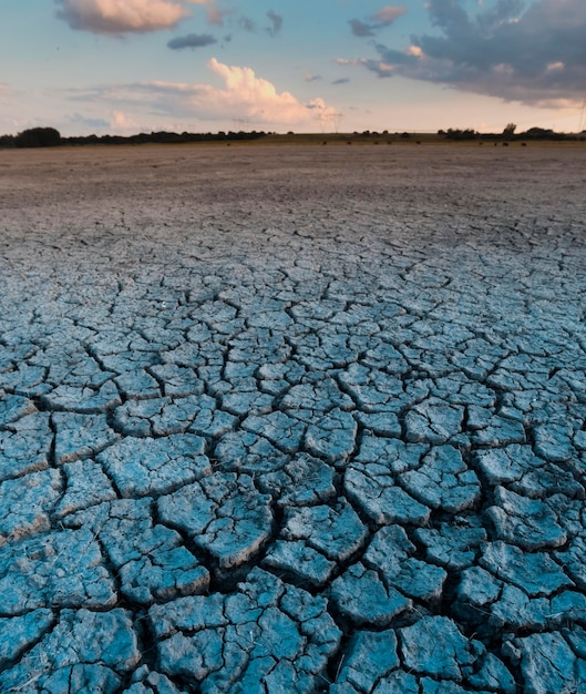 Broken dry soil in a Pampas lagoon La Pampa province Patagonia Argentina