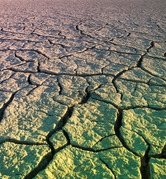 Broken soil in Pampas environment Patagonia Argentina