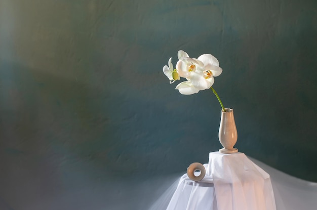 Broken vase with white orchid on dark green wall