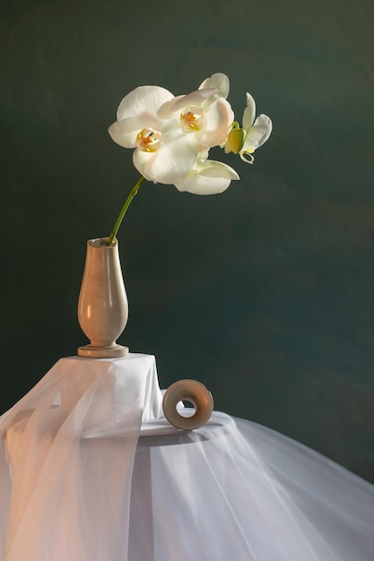 Broken vase with white orchid on dark green wall