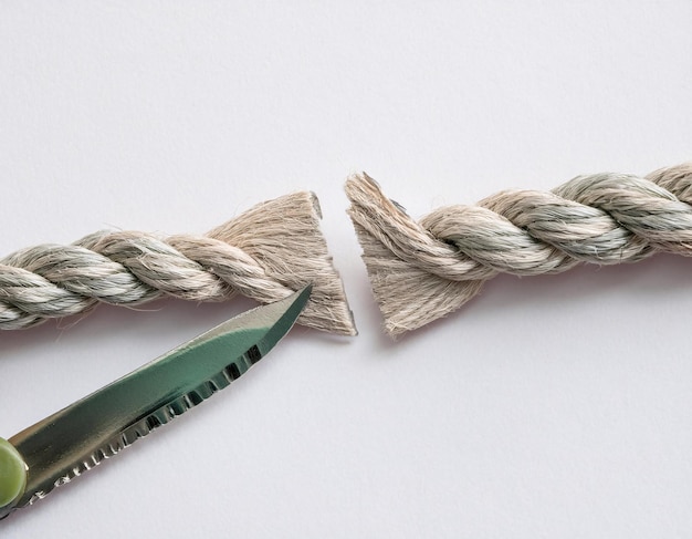 a broken white rope placed on a paper background