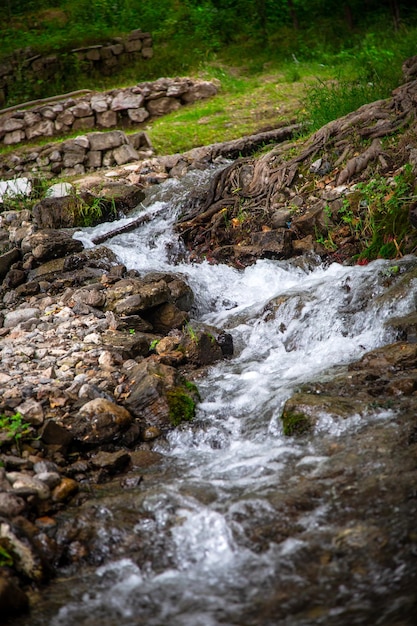 The brook flows whispering and a little restlessly