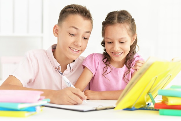 Brother and sister doing homework at home