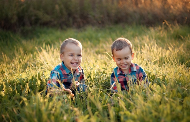 brothers have fun on grass in the summer