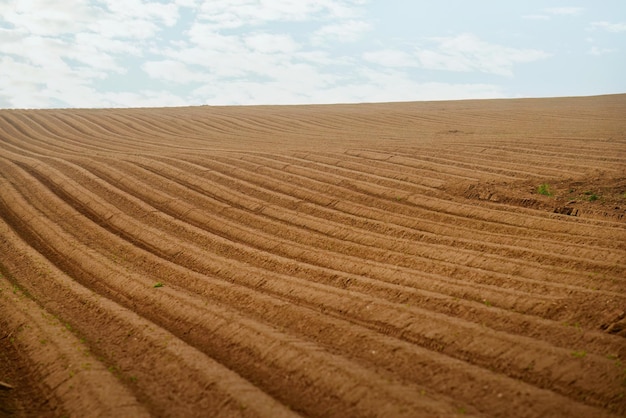 Brown Agricultural Soil in a Plowed fertile Field Embracing the Rural Farm Landscape Nurturing the Earth