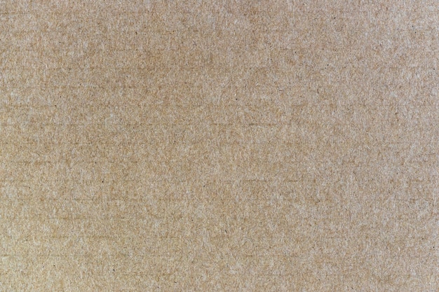 Brown background from sheet of recycled cardboard