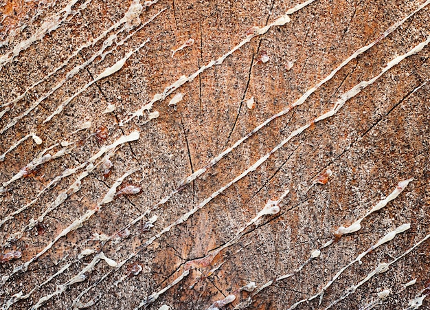 brown background. resin stains on wood