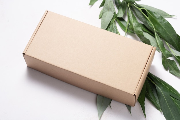 Brown cardboard carton box with fresh tree branch ecological package