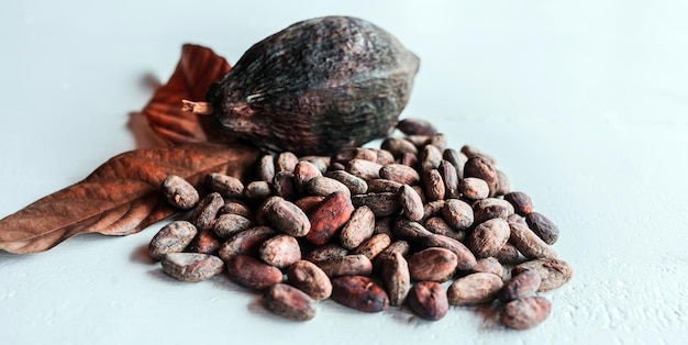 Brown cocoa beans brown cocoa pods and dry cacao fruit with leaves on a wooden white background