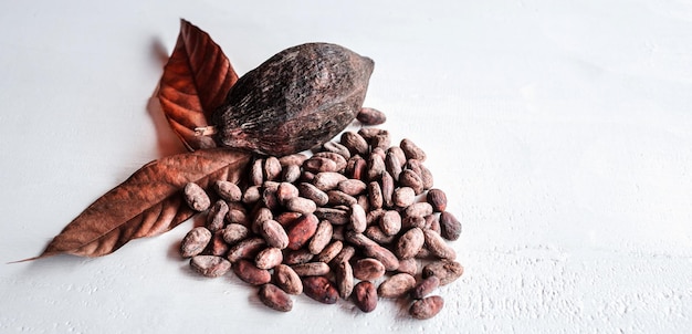 Photo brown cocoa beans brown cocoa pods and dry cacao fruit with leaves on a wooden white background