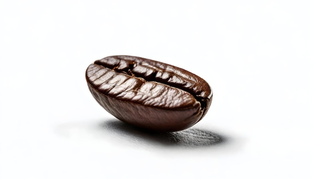 a brown coffee bean a white background