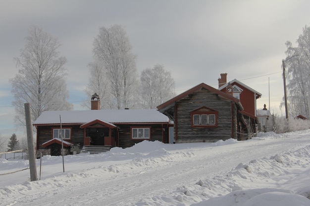 Brown Concrete House Near White Tree