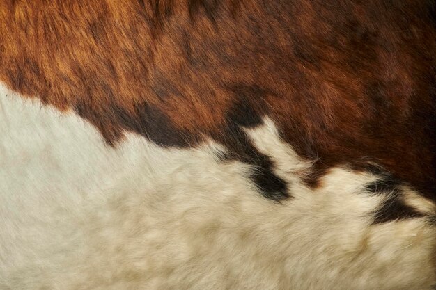 Photo brown cow skin texture agriculture smooth surface closeup on brown cow skin fur texture