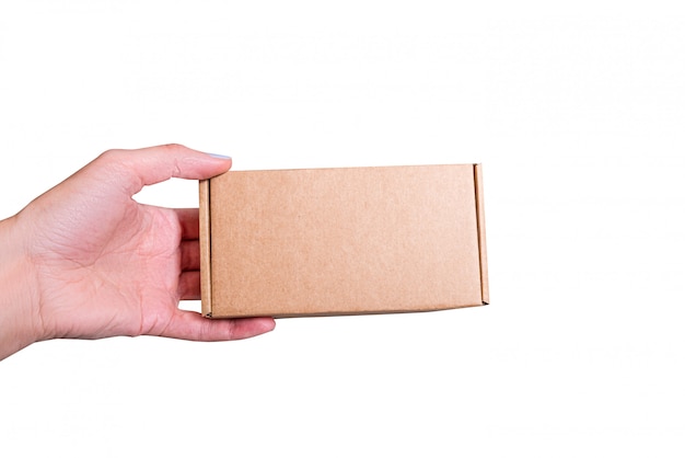 Brown craft cardboard box in woman hand, isolates