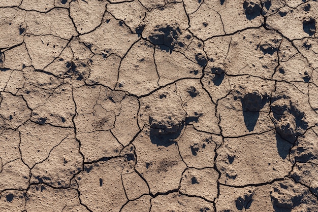 Brown dry soil background At the top view. Texture of dry brown cracked earth.