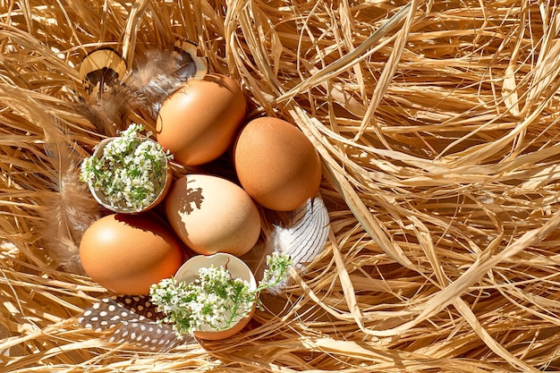 Photo brown easter eggs with feathers and eggshells with white flowers on the straw