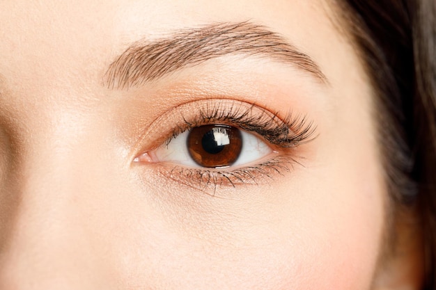 Brown eye of a woman closeup