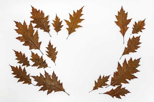 Brown fallen leaves on white surface