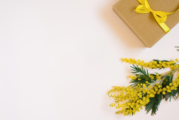 A brown gift box with a yellow bow and ribbon l and a mimosa branch on a white tree background