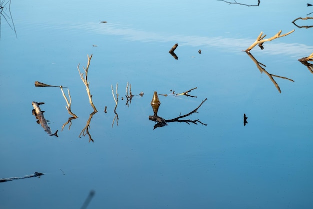 Brown glass bottle floating in river at the water surface