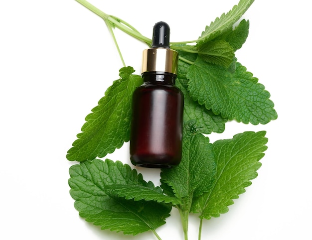 Brown glass bottle with a pipette for cosmetics and green mint leaves on a white background top view