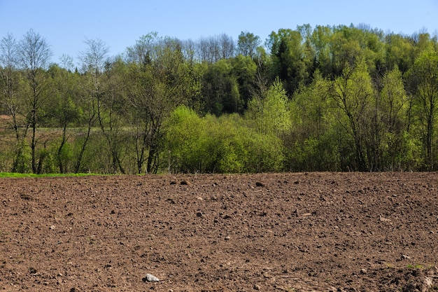 Brown ground surface Plowed agriculture field