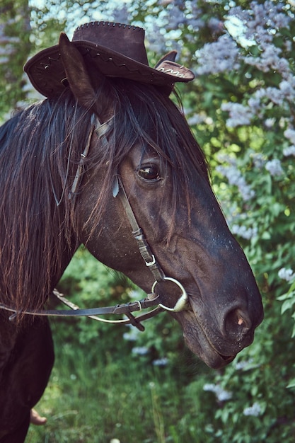 A brown horse in a cowboy hat standing in the flower garden.