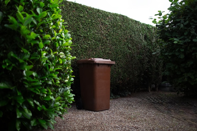 Brown large plastic bin for trash on backyard around of tree hedge