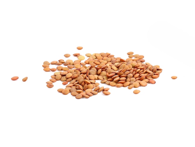 Brown Lentils isolated on white background