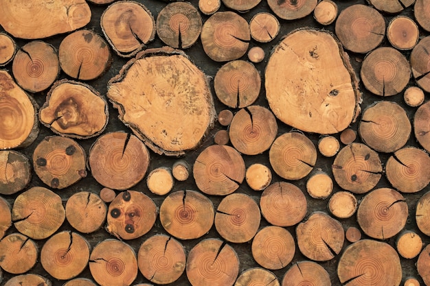 Brown logs texture, wooden backgrounds, wood light natural timber floor, rustic vintage surface, grain wallpaper, circles pattern, abstract board design, old oak table.