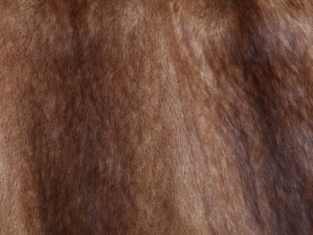 Brown mink fur texture background Close up shot