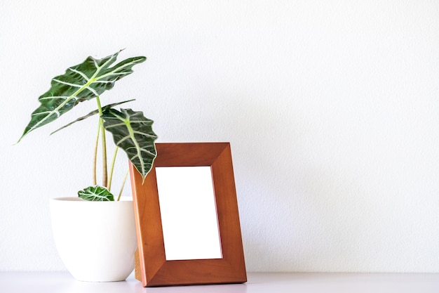 Brown modern wood desktop photo frame mock up and Alocasia sanderiana Bull or Alocasia Plant on white table and white wall background