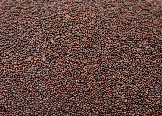 Brown Mustard Seeds Background