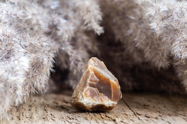 Brown Natural Chalcedony Stone Specimen on Wood