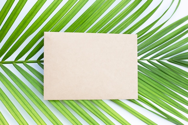 Brown paper on palm leaves