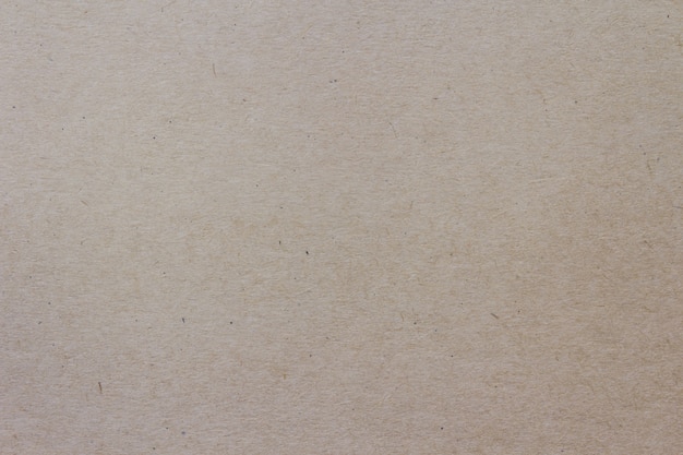 Brown Paper texture, detail