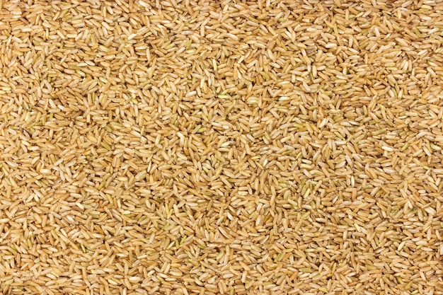 Brown rice groats background untreated rice