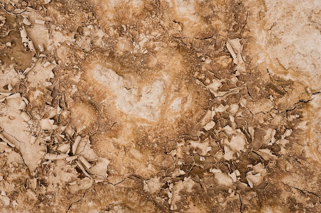 Brown rusty grunge background. Abstract texture of dry clay ground with cracks on earth soil