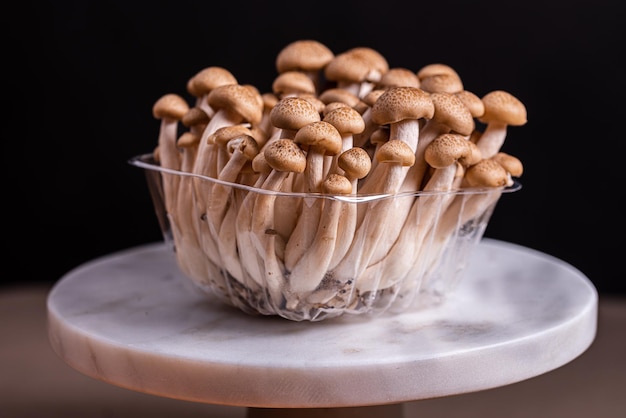 Brown shimeji edible mushrooms Shimeji native to East Asia, buna-shimeji is cultivated and rich in