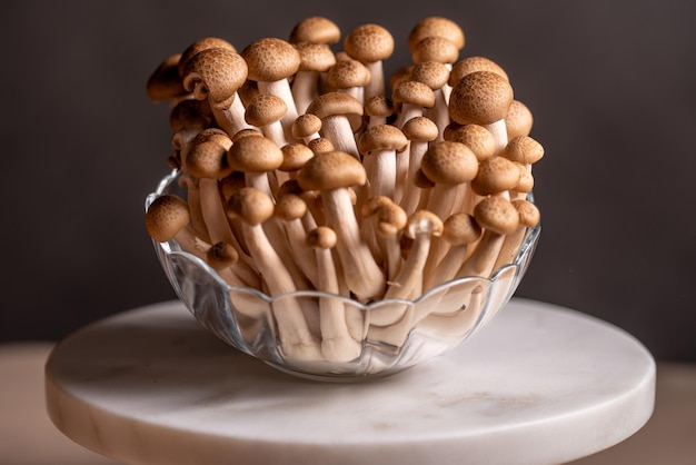 Brown shimeji edible mushrooms Shimeji native to East Asia, buna-shimeji is cultivated and rich in