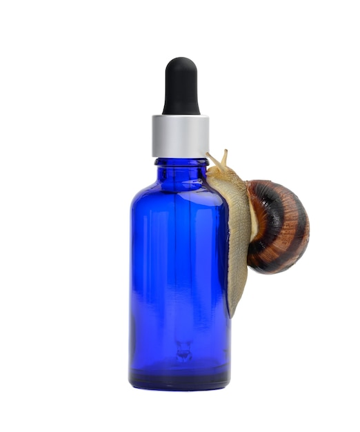 brown snail sits on a blue glass transparent bottle with a pipette, booty product isolated 