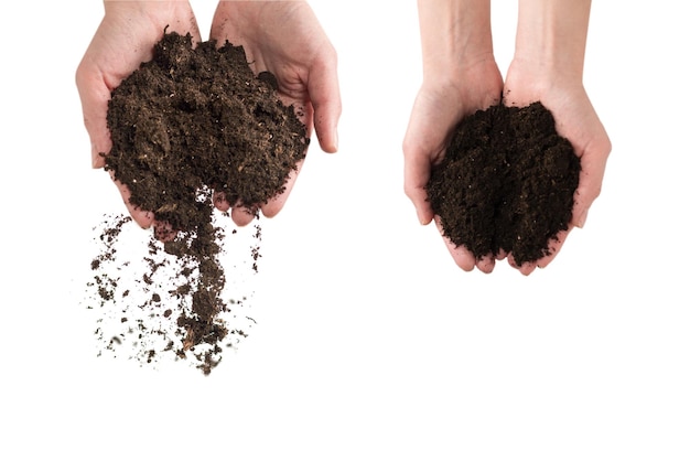 Brown soil in woman hands isolated on white background