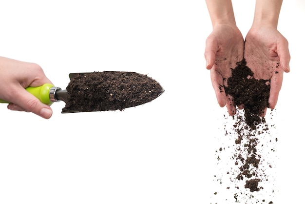 Brown soil in woman hands isolated on white