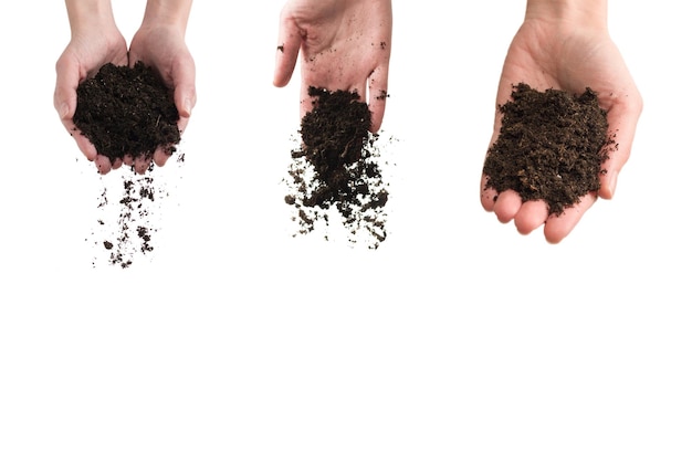 Brown soil in woman hands isolated on white