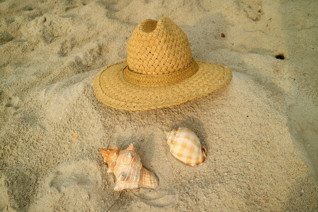 Brown straw hat on sandy beach with two types of seashells