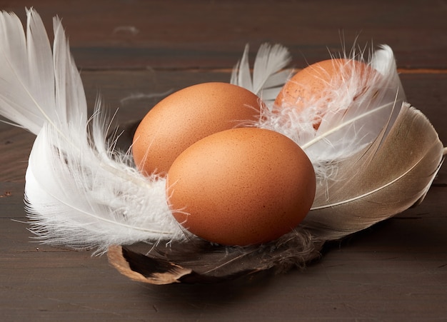 Brown whole chicken eggs in the middle of white feathers on a wooden background