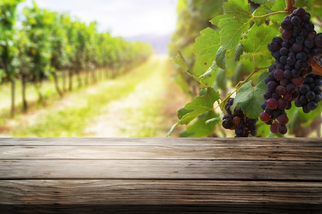 Brown wood table in vineyard landscape with empty copy space on table for product display mockup.